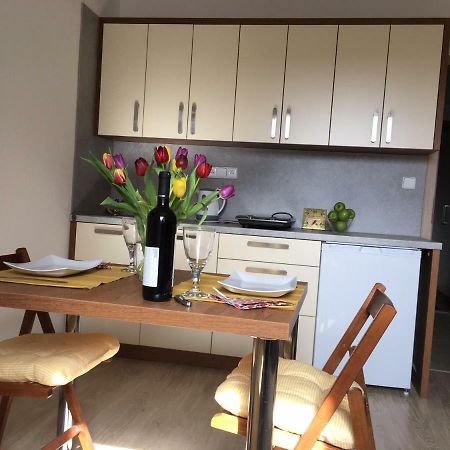 Apartman Dlouhe Strane Loučná nad Desnou エクステリア 写真